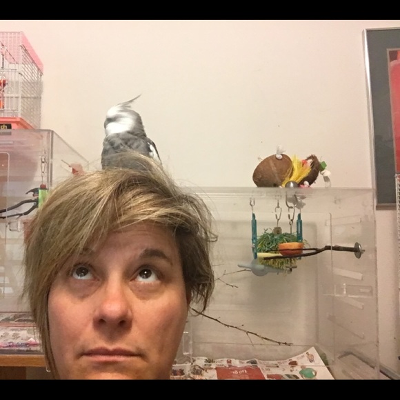 Meet your Posher, Lisa - Picture 3 of 4